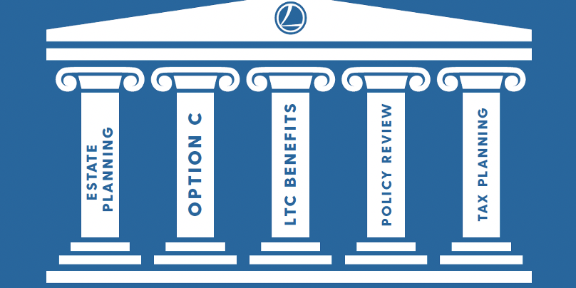 5 Fundamental Pillars of Risk Mitigation That Define the Real Insurance Meaning Behind a Pure Term Life Insurance Policy