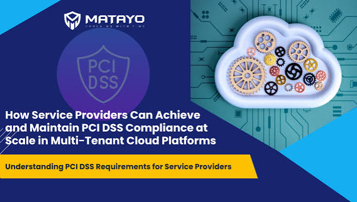 PCI DSS Compliance for Platform Operators